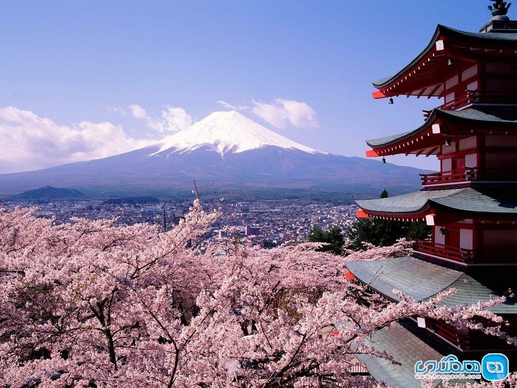 دانستنی هایی درباره فرهنگ ژاپنی ها که باید بدانید