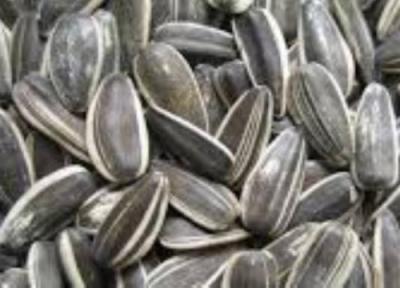 تخمه آفتابگردان و کلسترول