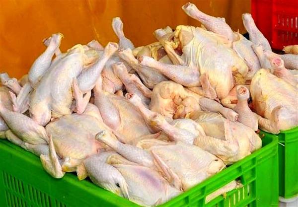 قیمت مرغ چه زمانی به ثبات می رسد؟