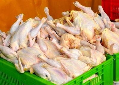 قیمت مرغ چه زمانی به ثبات می رسد؟