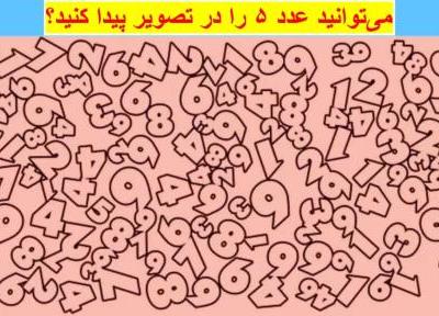 معمای فکری: آیا می توانید عدد 5 را در عرض 5 ثانیه پیدا کنید؟