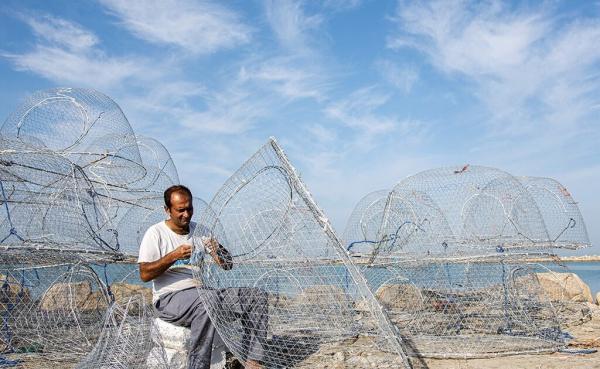 تماشای گرگوربافی در سواحل خلیج فارس ، پیدا کردن مسیر صید از روی ستاره ها تا جی. پی. اس ، صیادی با قفس به قدمت بندرنشینی