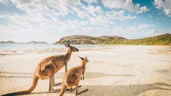 ساده ترین روش اخذ ویزای توریستی استرالیا