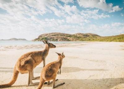 ساده ترین روش اخذ ویزای توریستی استرالیا