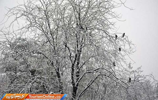 این 4 استان آماده برف سنگین باشند، برف 1متری در راه است این 4 استان آماده برف سنگین باشند، برف 1متری در راه است