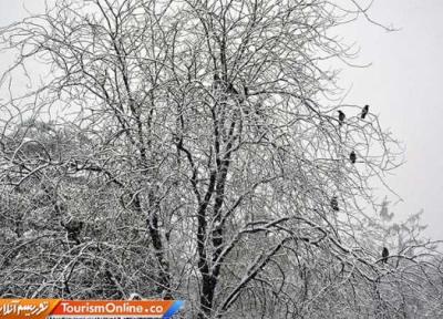 این 4 استان آماده برف سنگین باشند، برف 1متری در راه است