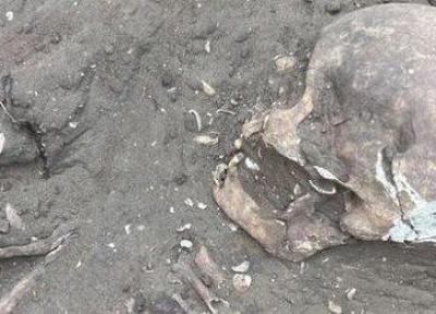 کشف بقایای اسکلت 9000 ساله انسان و بیش از 100 هزار شی تاریخی در برزیل
