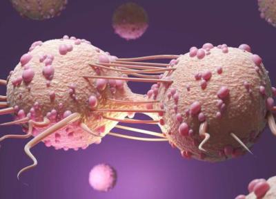 اکسیر جوانی در بدن انسان کشف شد!