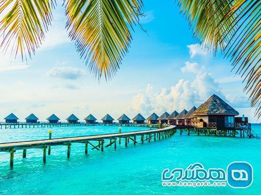 در کیش ماشین اجاره کنیم یا تاکسی بگیریم؟ در کیش ماشین اجاره کنیم یا تاکسی بگیریم؟