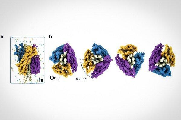ببینید از تا زدن DNA چه چیزی به دست می آید! ببینید از تا زدن DNA چه چیزی به دست می آید!