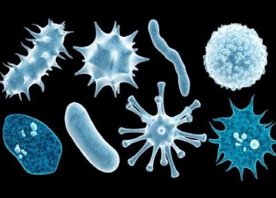 کشف موجوداتی ناشناخته در روده و دهان انسان