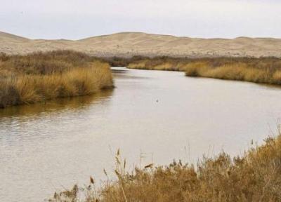 تالاب های فلات مرکزی ایران دچار مرگ آبی شده اند