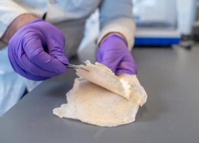 اختراع شگفت انگیز دانشمند ایرانی در آمریکا، پانسمان نابودگر باکتری بدون آنتی بیوتیک