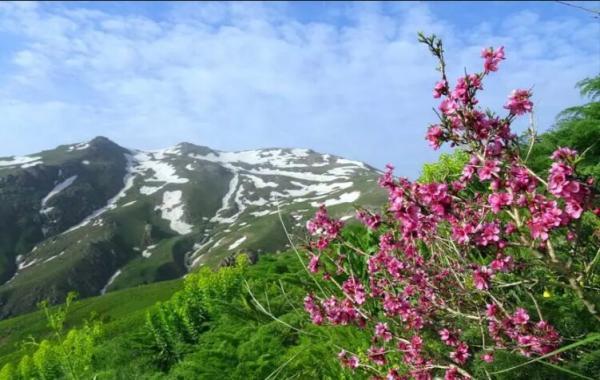 کوه چهل چشمه؛ یکی از محبوب ترین جاذبه های دیدنی کردستان کوه چهل چشمه؛ یکی از محبوب ترین جاذبه های دیدنی کردستان