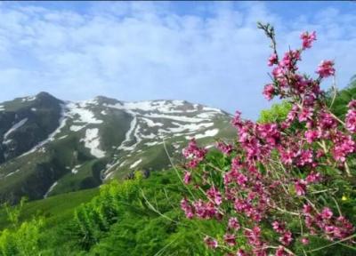 کوه چهل چشمه؛ یکی از محبوب ترین جاذبه های دیدنی کردستان