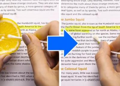 خاصیت جادویی لیمو ترش که از آن بی خبرید