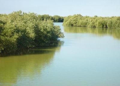 تالاب حله، یکی از جلوه های طبیعی بسیار دیدنی در بندر گناوه