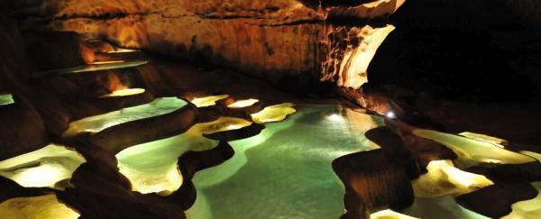 8000 سال پیش، انسان ها به اعماق غار تاریک فرانسوی رفتند؛ اما چگونه؟